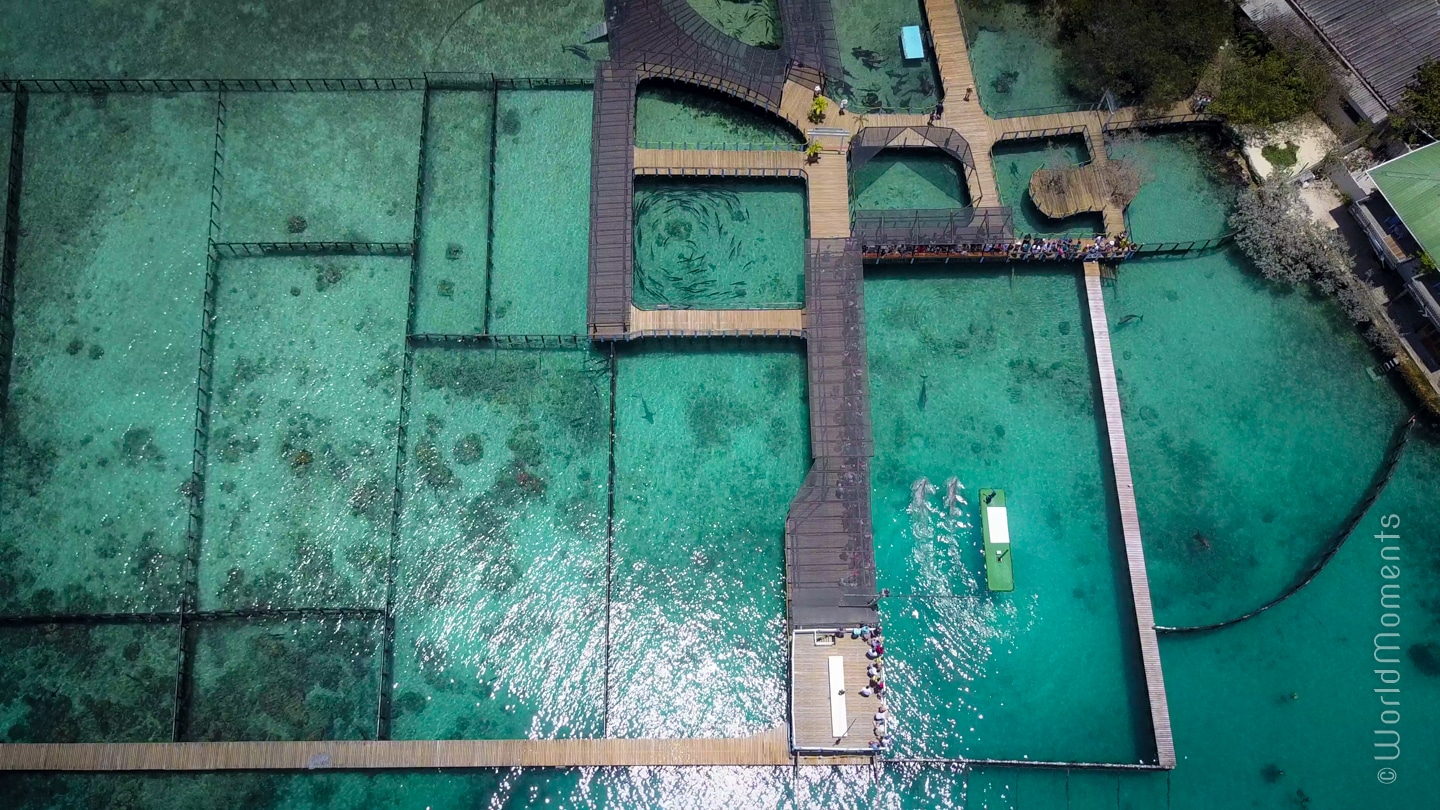 the Aquarium rosario island view drone