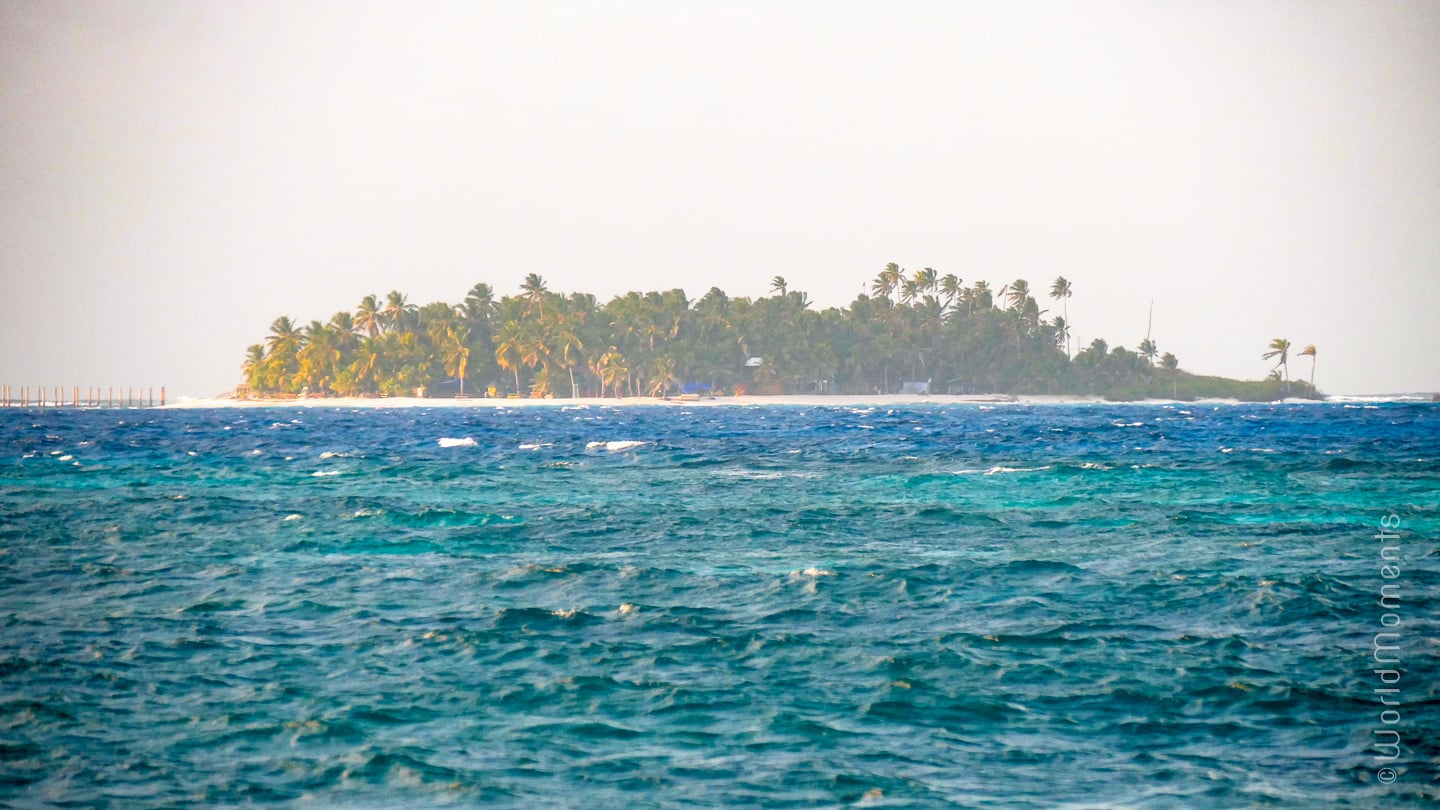 san andres jonny cay island beach palms