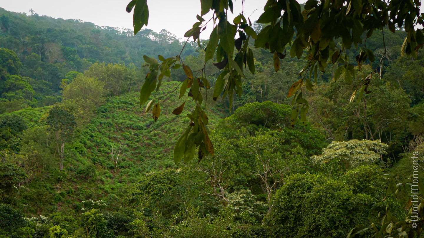 Santa Marta Sierra Nevada view