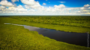 Laguna Negra in San Jose del Guaviare landscape view