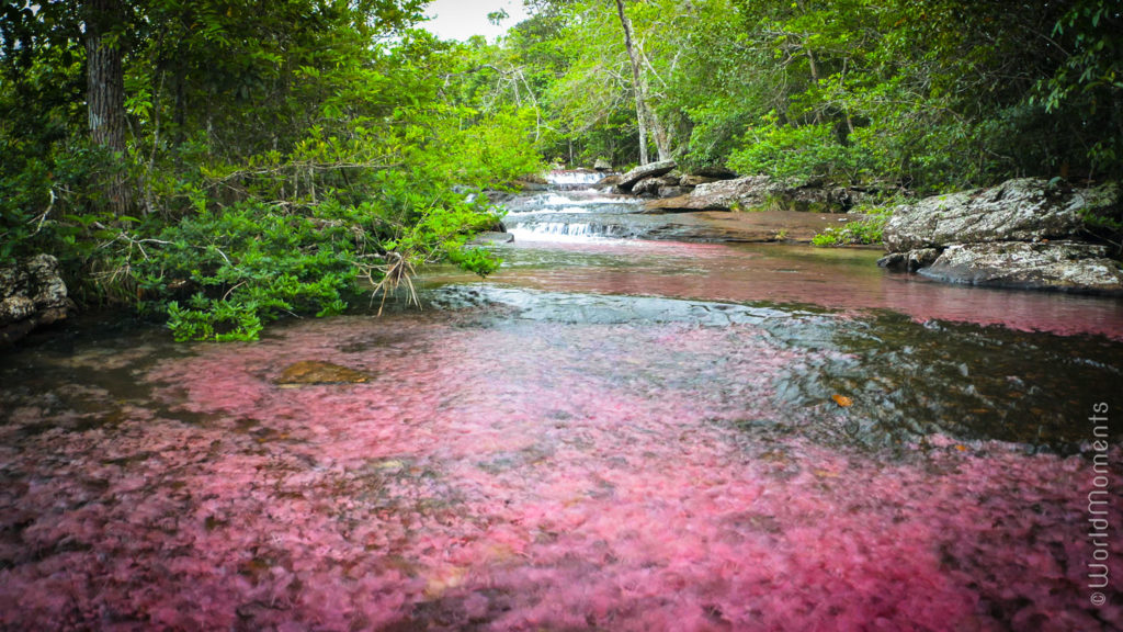 San Jose del Guaviare Tranquilandia river of colors