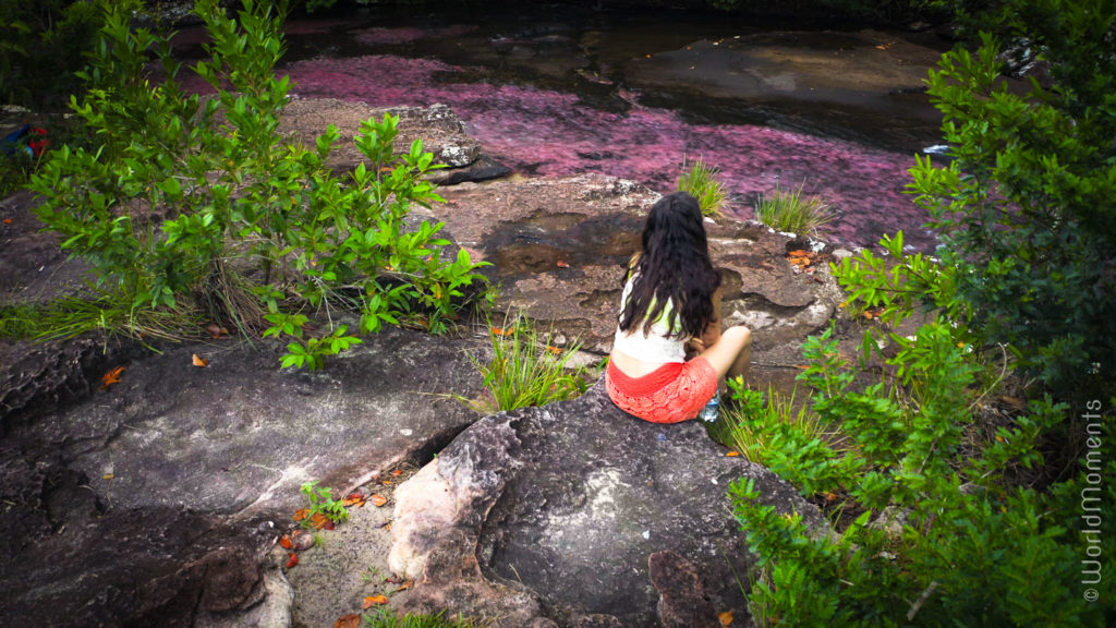 San Jose del Guaviare Tranquilandia river of colors