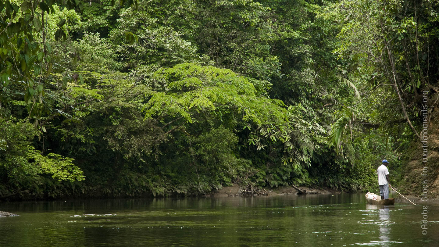 rio en el medio de la jungla en San Cipriano