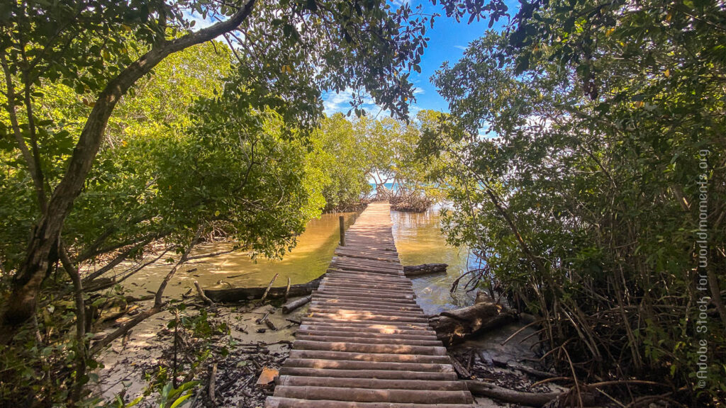 camino en la isla mucura