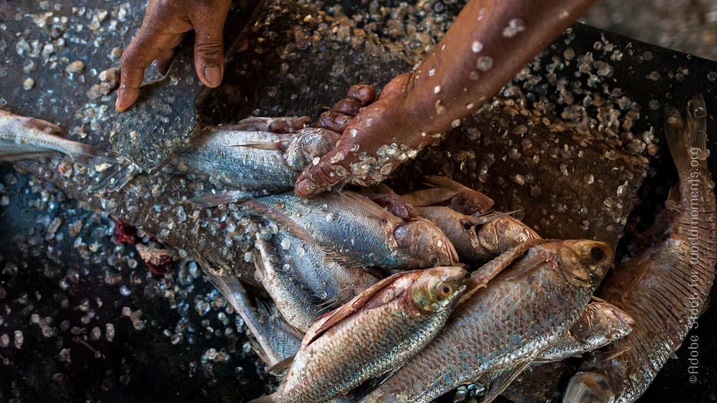 pescado al mercado de bazuerto en cartagena