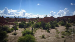 vista del desierto de la tatacoa sector cusco y plantas grasas