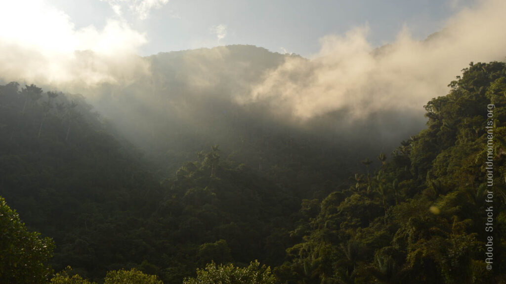 vista de la cierra nevada de santa marta con nubes en el trekking a ciudad perdida